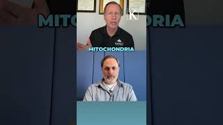 Electricity's Secret Health Link: Mitochondria &amp; DNA Explained