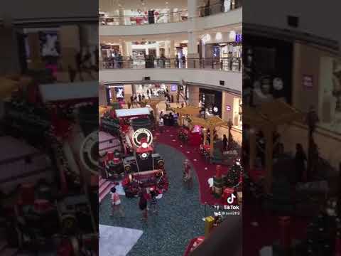 Video: Tempat Membeli Pokok Krismas Sebenar di NYC