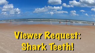 The Craziest Thing Happened While Videoing a Viewer Request for Shark Teeth at Ponte Vedra Beach.