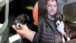 A small homeless puppy was running along the road. Puppy Jessica's Story