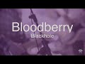 Bloodberry - Blackhole