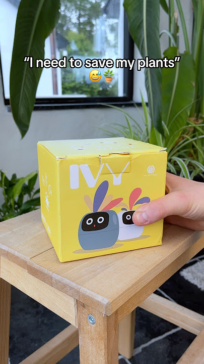 “I need to save my plants”😅🪴