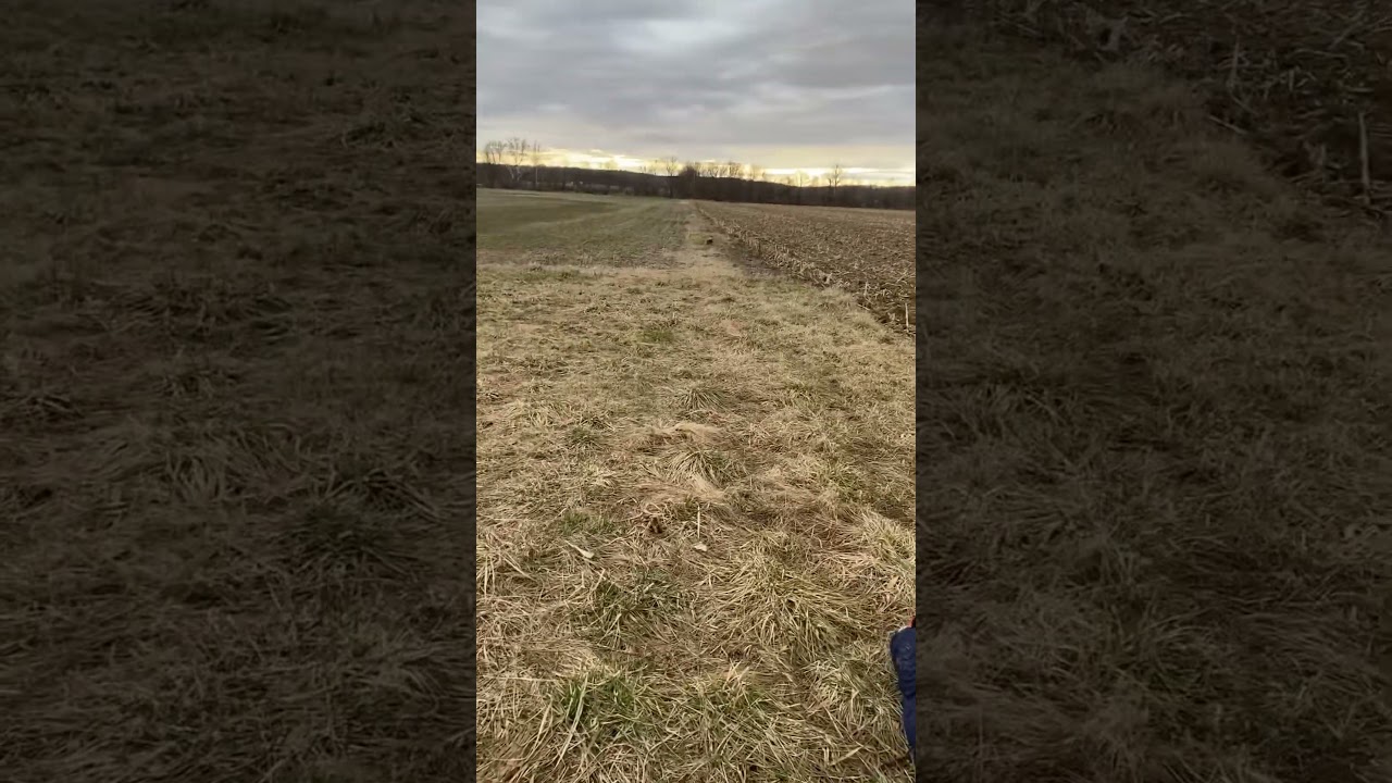 Tannerite & sonic boom