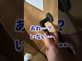 オウムの前で扉を閉めると荒ぶる神になるので鎮める#shorts