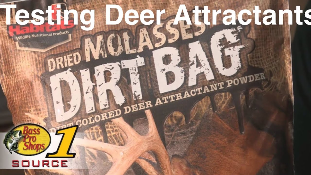 Metolius Dirt Bag II Review | Tested by GearLab