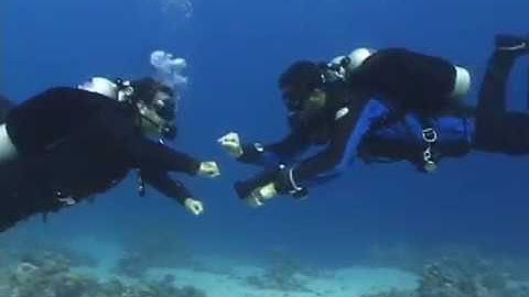 (5thD-X) Essentials Of Technical Diving - (9 Failures) Mistaken Right Failure