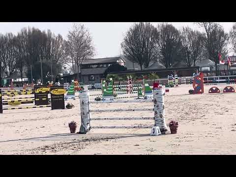 Genesis de Talma 135 CSI3*** Busto Arsizio
