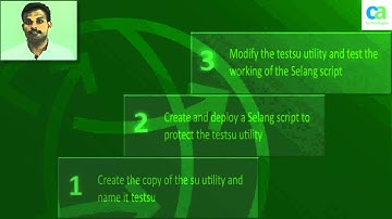 CA Privileged Identity Manager (formerly CA ControlMinder) - Monitoring a Trusted Program