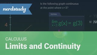 Celebrity Limits and Continuity | Calculus - Nerdstudy Profile