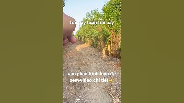 chú bình cần tiền nên giảm giá bán lô đất vườn trái cây đẹp có thổ cư ở châu đức bà rịa vũng tàu