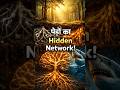 "पेड़ों का Hidden Network!"#shorts#facts#naturefacts#sciencefacts#woodwideweb#treefacts#viralshorts