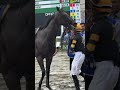 The Haskell win is theirs.