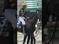 The Haskell win is theirs.