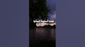 تلاوه هادئه بصوت الشيخ محمد صديق المنشاوي 🌾🌿 #تلاوة_هادئة #قرآن #قران_كريم