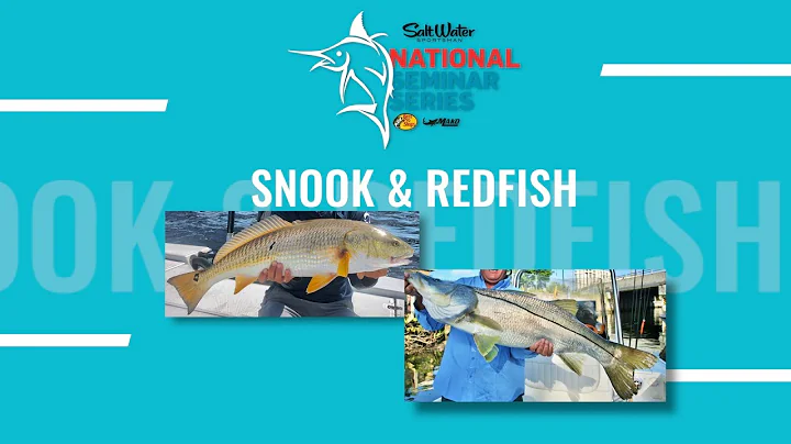 NATIONAL SEMINAR SERIES 2022 SEASON - Episode 10 -...