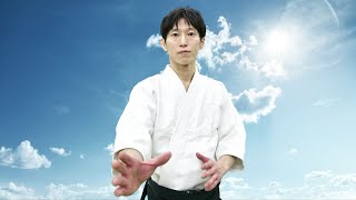 Full Version : Aikido Master Instruction Collection【Shirakawa Ryuji】 screenshot 4