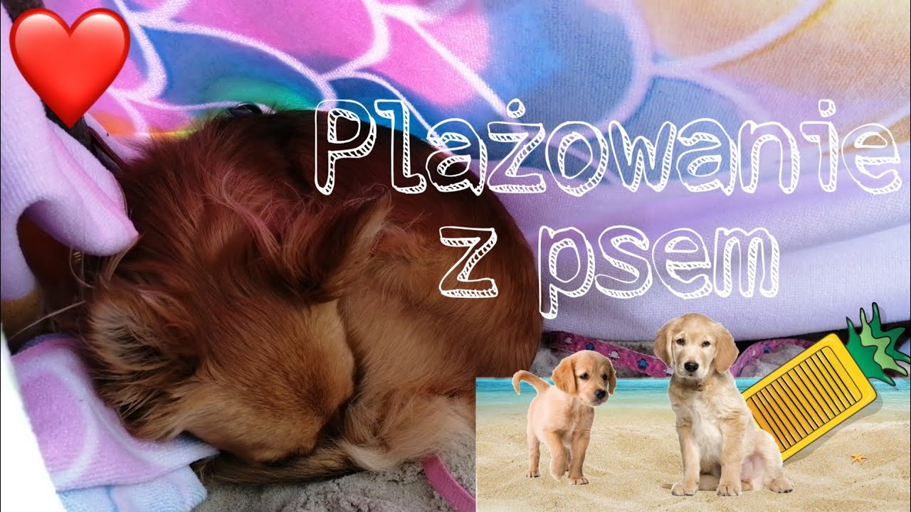 Holi-Vlog #4| Plażowanie z psem❤️(opis)
