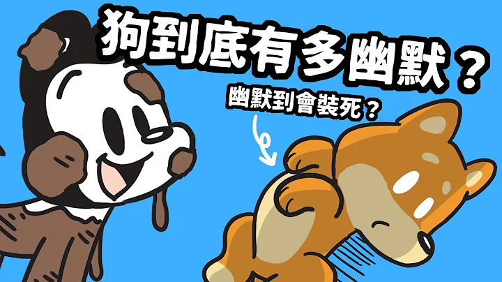 狗與鹿 ｜狗到底有多幽默？ | 10個荒唐原因，造就了狗狗獨一無二的幽默感！貼心小提醒：這集可愛到炸…小心被萌爆 - 天天要聞