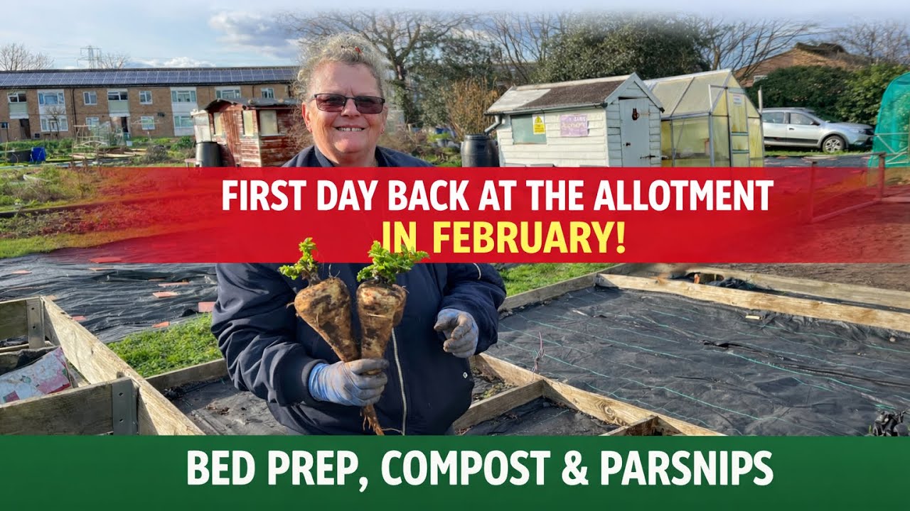 First Day Back at the Allotment in February! 🌧️ Bed Prep, Compost & Parsnips | Over 60 & Doing It