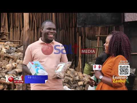 Engeri Gy Oyinza Okusimba Obutiko Okufunamu Ssente Ennimiro Zaabu