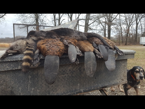 Uploads from Coon Creek Outdoors - YouTube