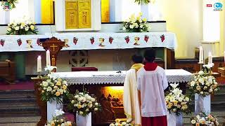 Download lagu Misa Harian Kamis, 21 Mei 2026 pk. 05.30 WIB - Novena Pentakosta hari ke 7