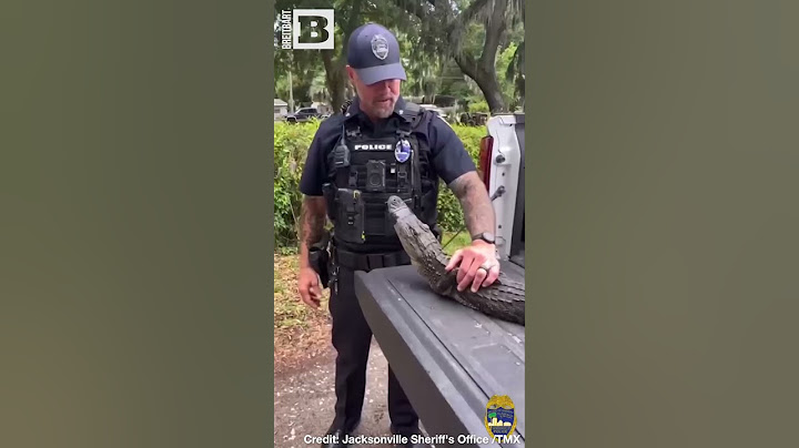 "You Are Under Arrest" -- Police Remove Alligator from Home of 104-Year Old Woman