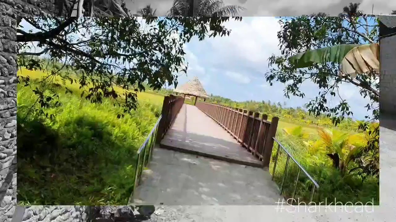 Fuvahmulah koda kilhi mud bath - YouTube