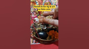 शिवरात्रि के दिन गेहूं के दाने का विशेष उपाय#pradeepmishra #shivpuran #shorts #mahashivratri #shiv