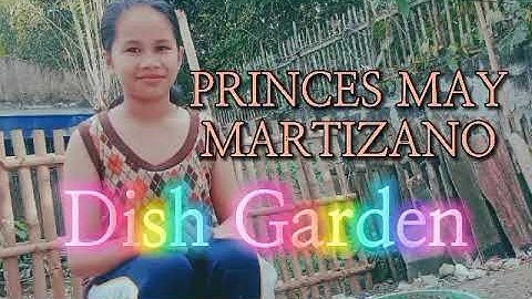 Dish Garden | Princes M. | Grade 4
