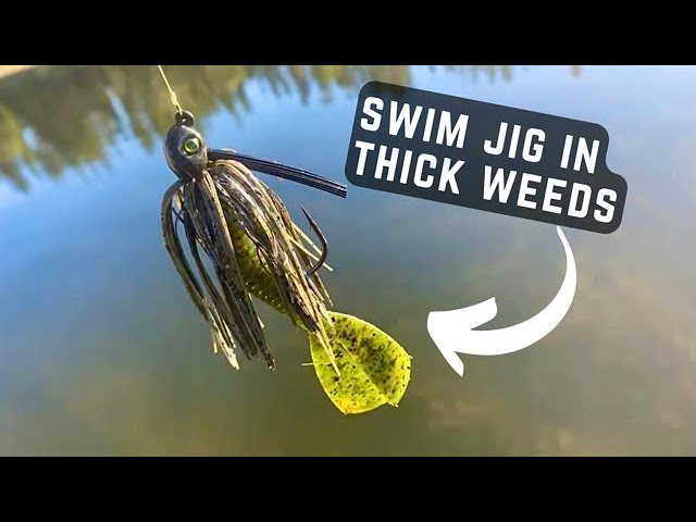 Swim Jig Bass fishing (How to catch bass in thick weeds) 