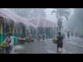 CAN YOU HANDLE THIS STORM? 🌧️⚡ Extreme Rain & Powerful Winds in Rural Indonesia | Fall Asleep Fast