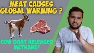 Beef And Meat Worst Food For Environment And Climate!