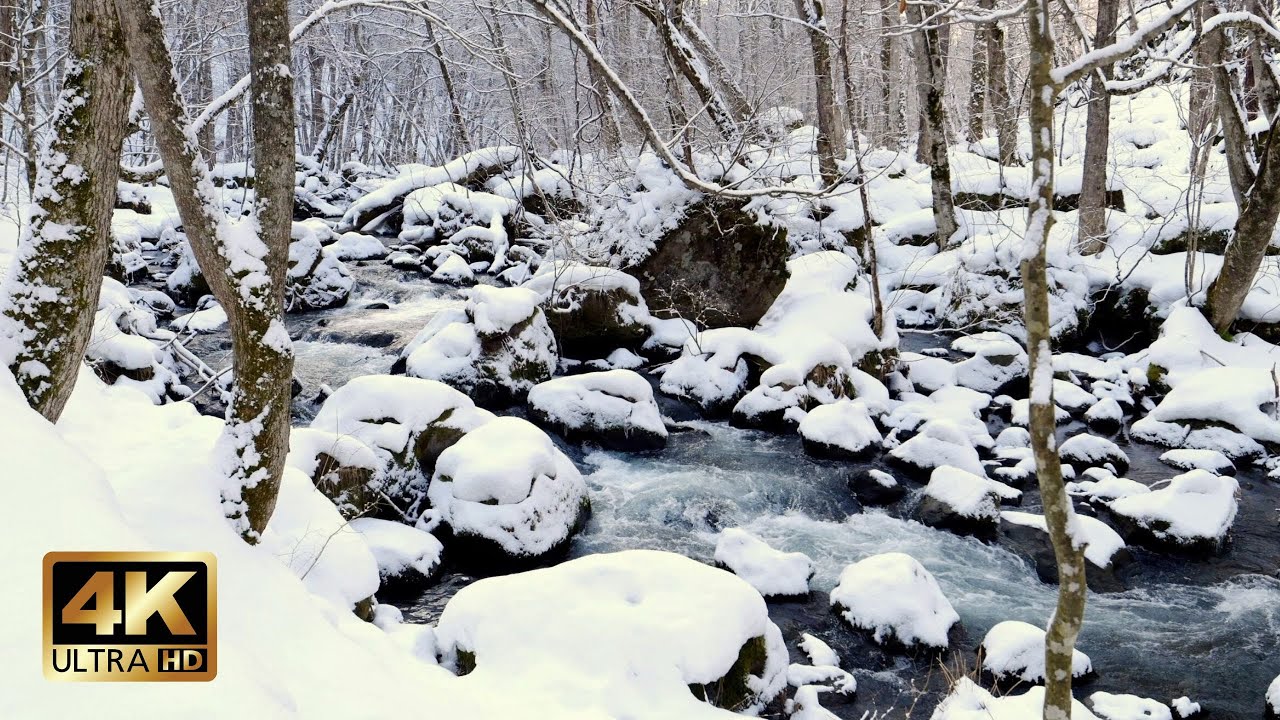 Gentle River in a Snowy Woodland | 10h Natural White Noise for Study & Anxiety Relief