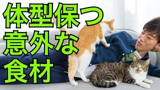 ゆるい筋トレでも体型を保てる意外な食べ物がこちら