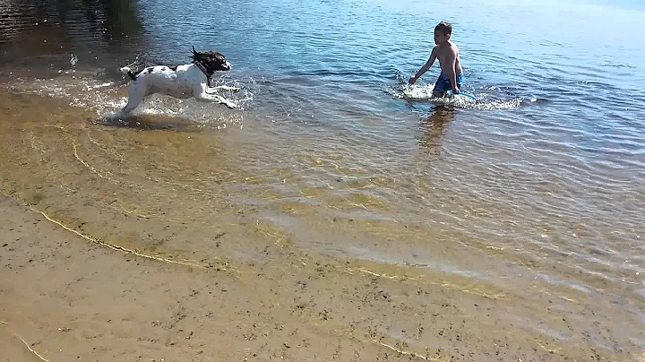 Jazz swims(2)