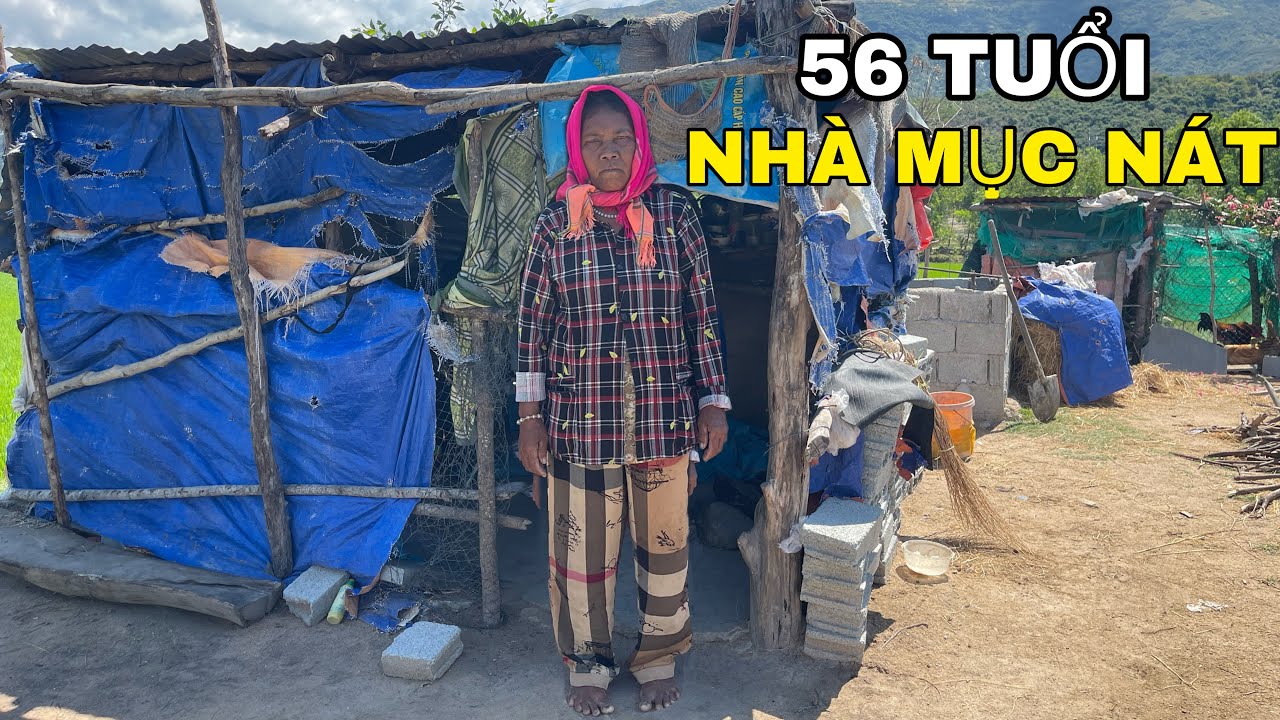Xót Xa Người Phụ Nữ 56 Tuổi Sống Tạm Trong Lều Rách, Không Có Một Mái Nhà Che Mưa Nắng