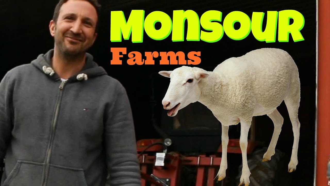Monsour Sheep Farm Bedford PA YouTube