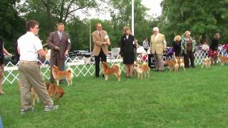 20080920 Best of Breed Competition Part 3 of 4