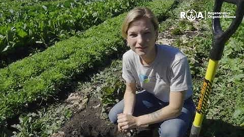 How to Assess Soil Health Using Smell