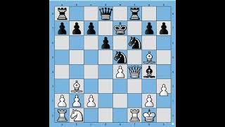 Prava šahovska magija napad iz snova ●  HEIDENFELD vs ZIETEMANN # 1980