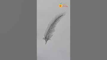 Feather Drawing Easy Step-by-step - Easy Drawing Tutorial #youtubeshorts #drawing #feathers