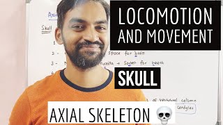 Axial skeleton | Skull | Locomotion and movement