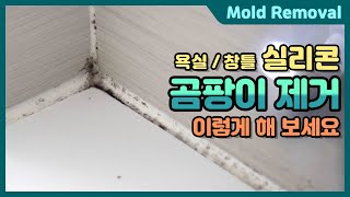 욕실, 창틀 실리콘 곰팡이 제거 방법