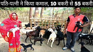 पति-पत्नी ने मिल कर बनाया छोटा सा elevated बकरी फार्म | Bakri Palan