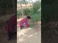 पेड़ो में पानी डालो गर्मी में #trending