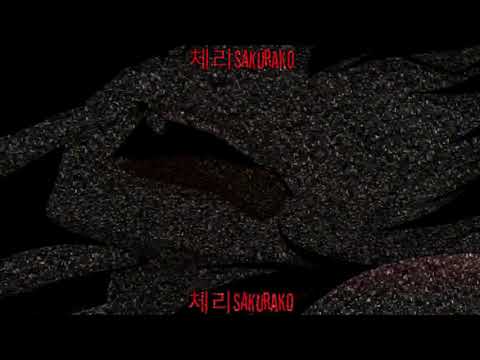 Kikuo || Gomenne Gomenne || Sub Español || 체리Sakurako