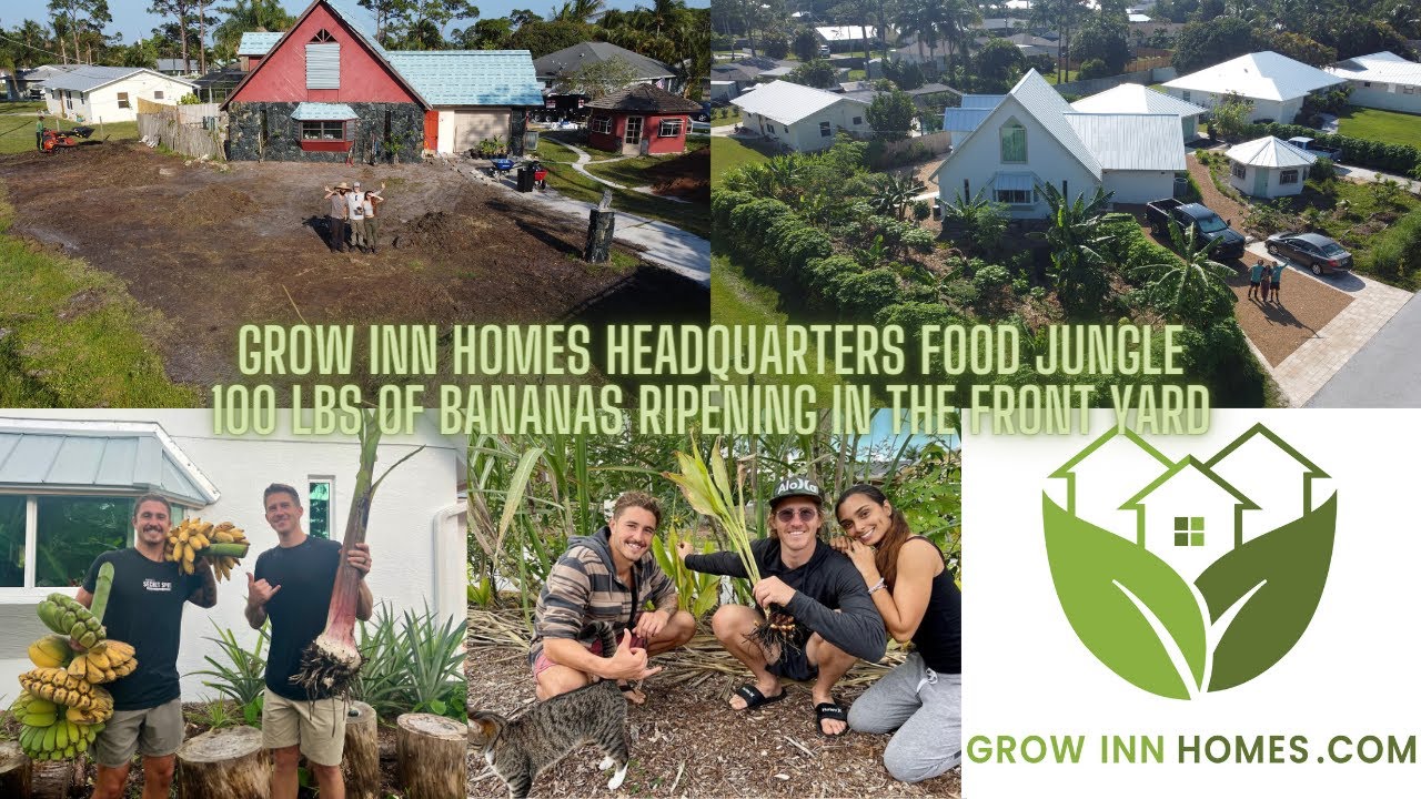 South Florida Tropical Food Forest Garden Tour: Grow Inn Homes  🏢 🌱🍌 Banana Factory [November 2023]