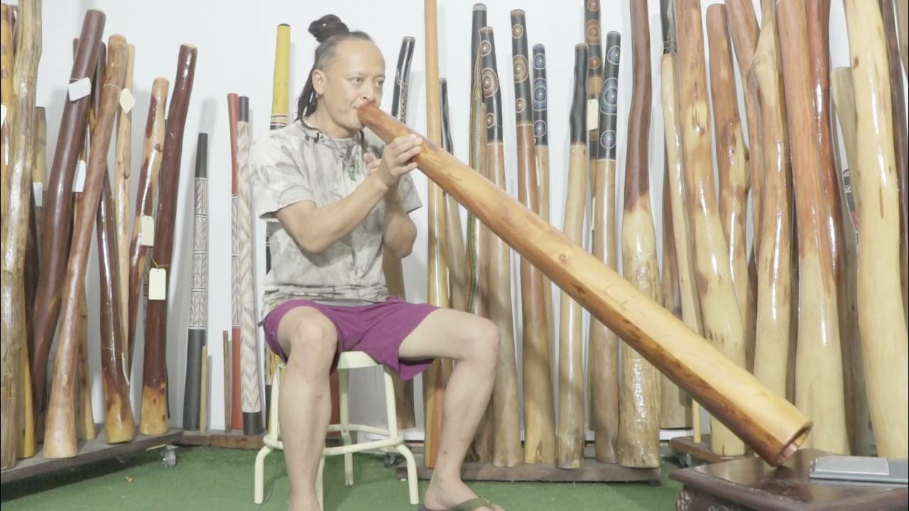 Salem Didgeridoo Key of E code 7925 YouTube