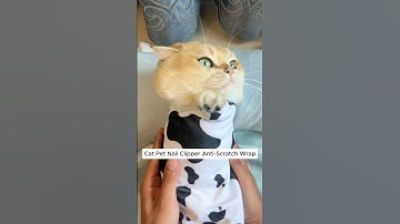 Easy Cat Nail Clipping with the Anti-Scratch Restraint Wrap!